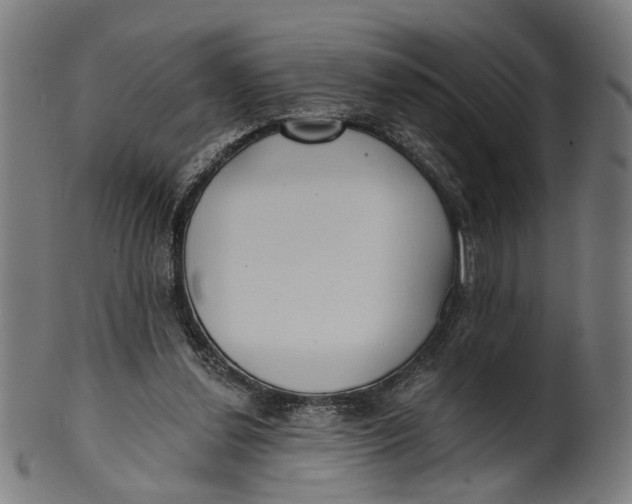 X0000100870252200807111325