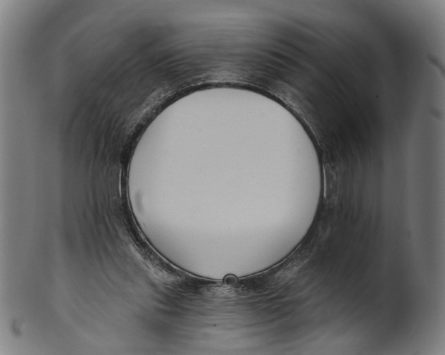 X0000100870253200807111325