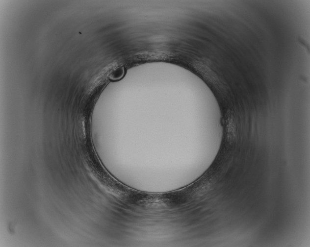 X0000100870254200807111325