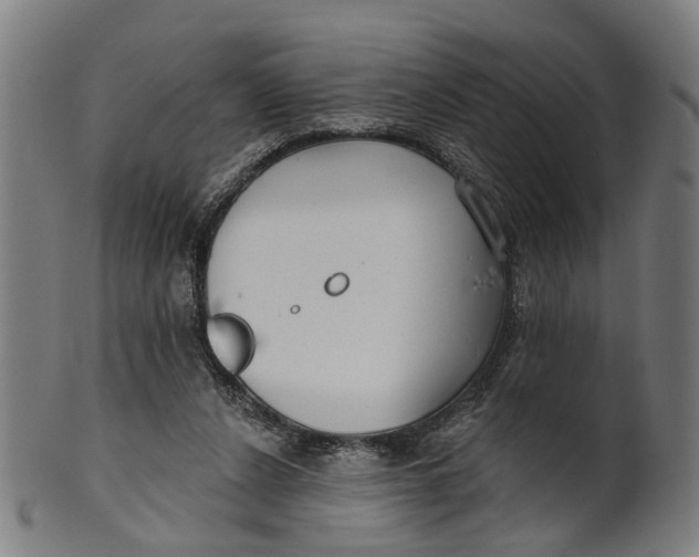 X0000100870256200807111325