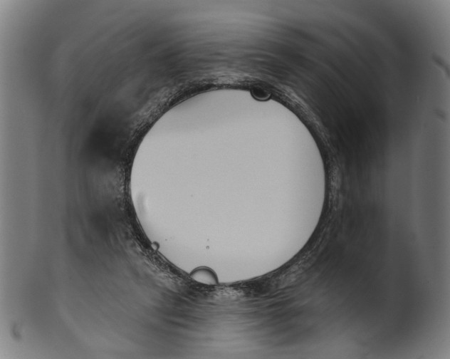 X0000100870257200807111325