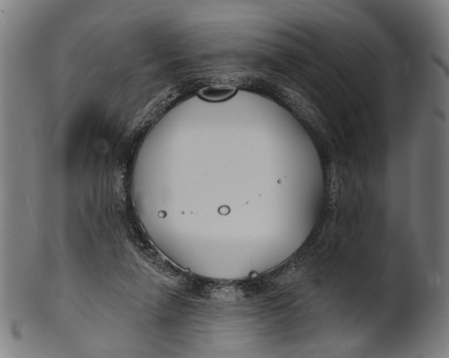 X0000100870258200807111325