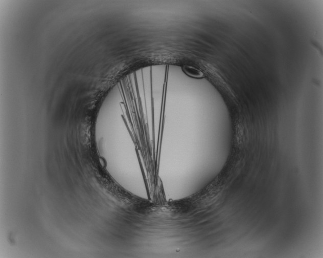 X0000100870259200807111325