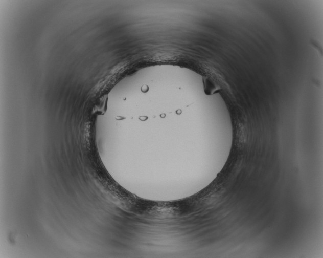 X0000100870260200807111325