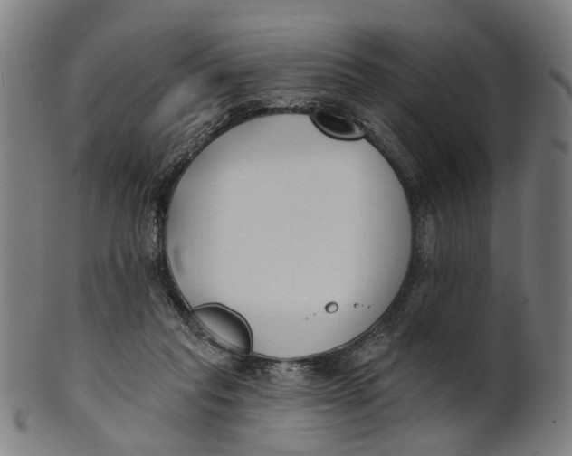 X0000100870261200807111325