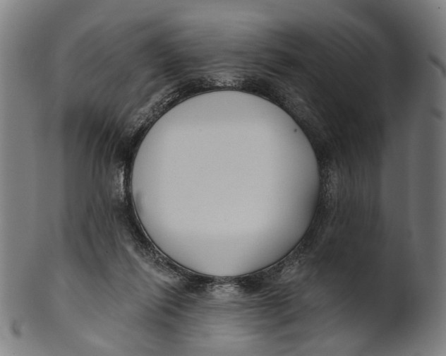 X0000100870262200807111325