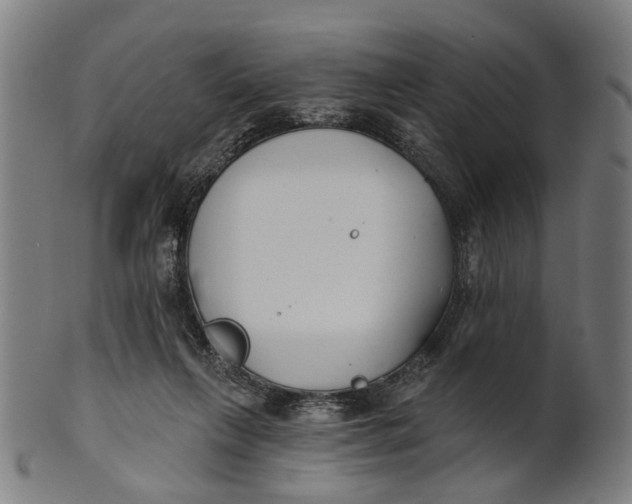 X0000100870263200807111325