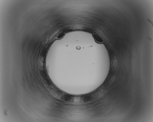 X0000100870264200807111325