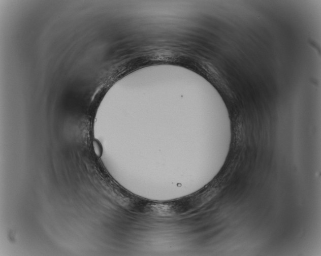 X0000100870265200807111325