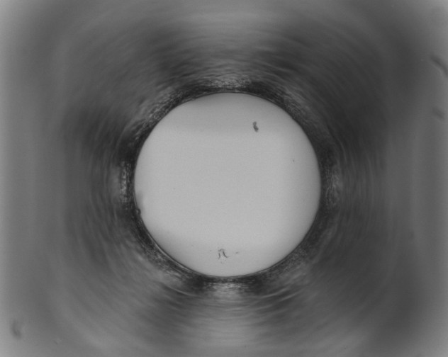 X0000100870268200807111325