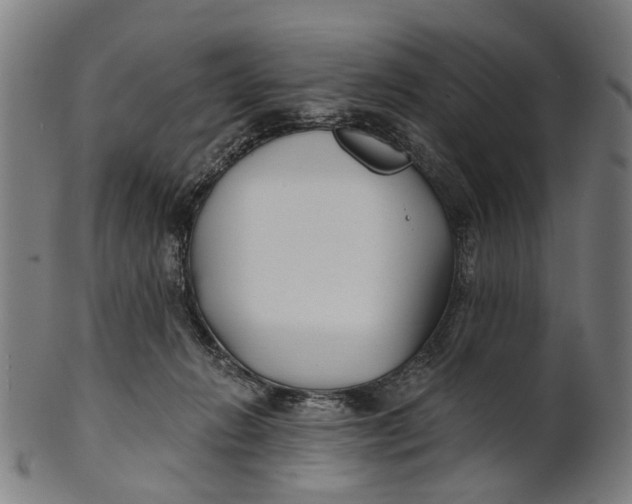 X0000100870270200807111325