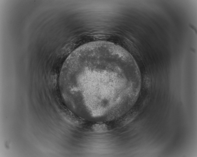 X0000100870271200807111325