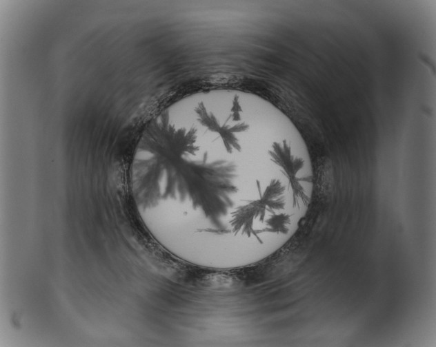 X0000100870272200807111325