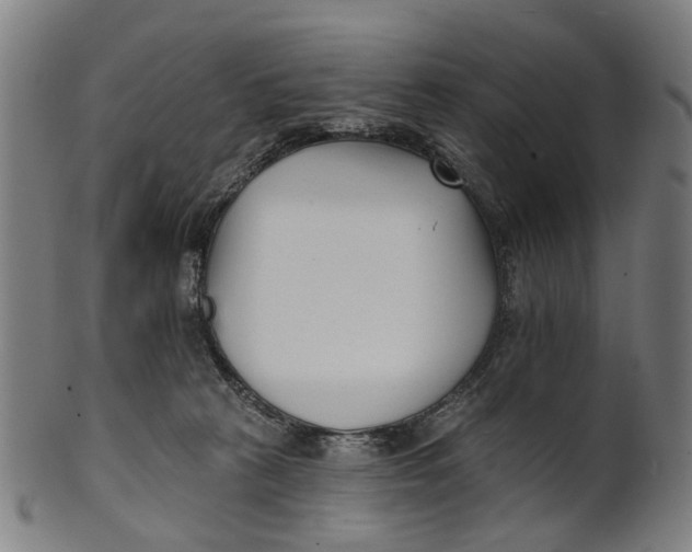 X0000100870273200807111325