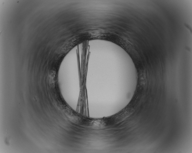 X0000100870275200807111325