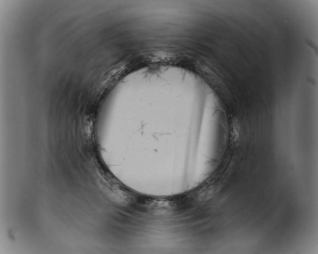 X0000100870276200807111325