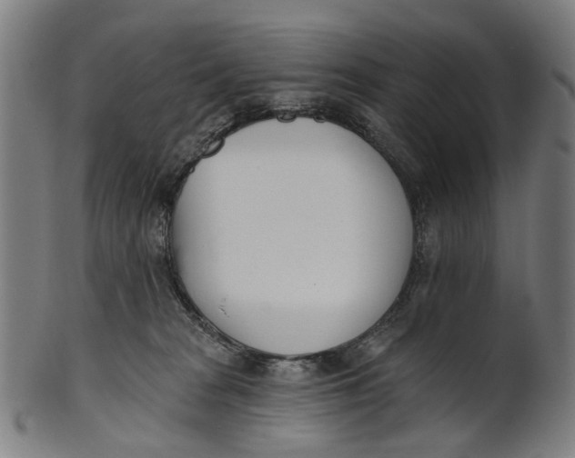 X0000100870277200807111325