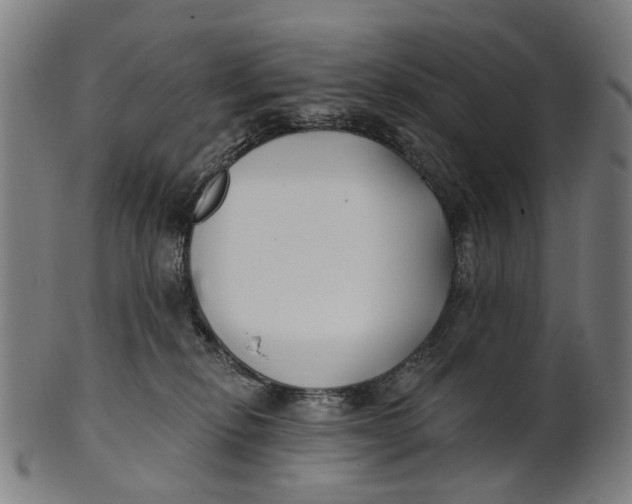 X0000100870278200807111325