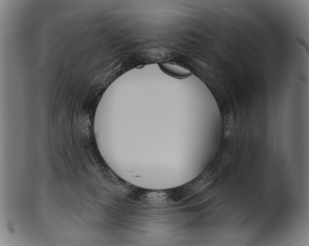 X0000100870279200807111325