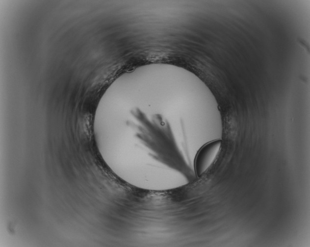 X0000100870280200807111325