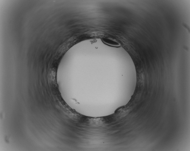 X0000100870281200807111325