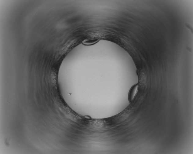 X0000100870282200807111325