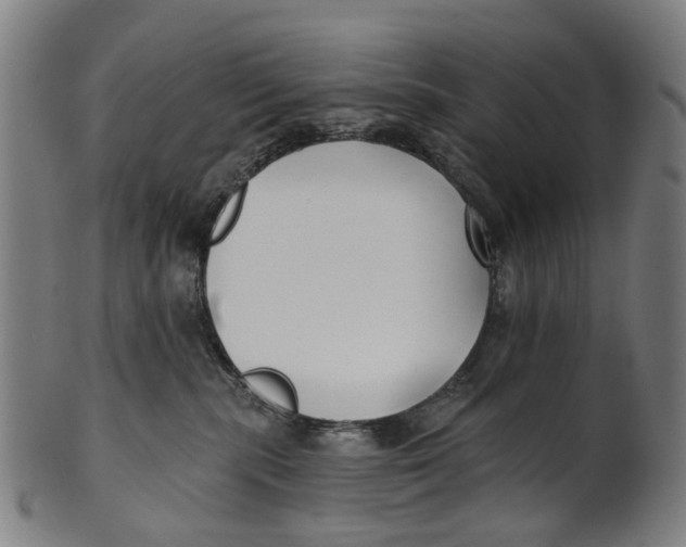 X0000100870283200807111325