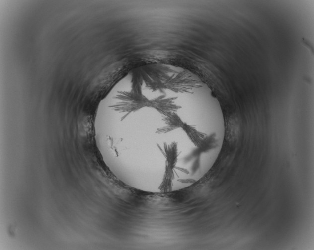 X0000100870284200807111325