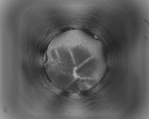 X0000100870285200807111325