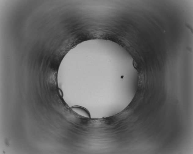 X0000100870286200807111325