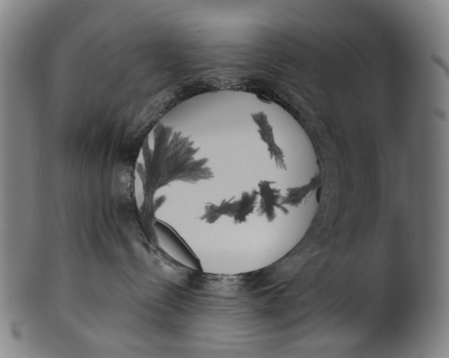 X0000100870288200807111325