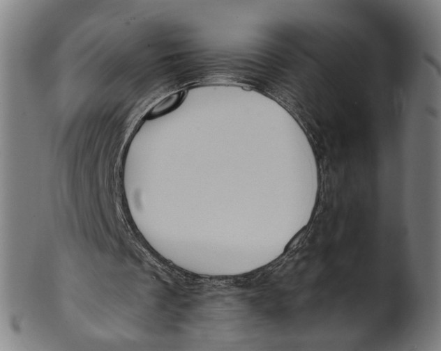 X0000100870289200807111325