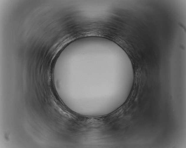 X0000100870290200807111324