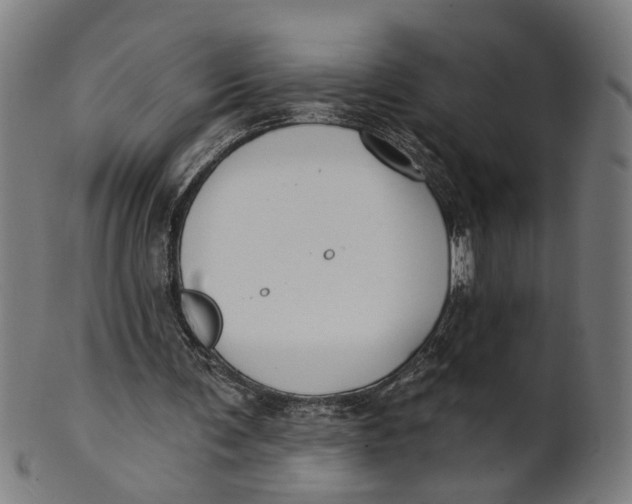 X0000100870291200807111324