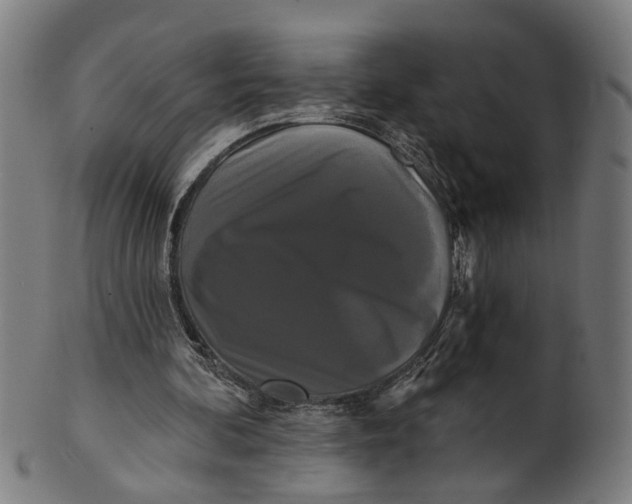 X0000100870292200807111324