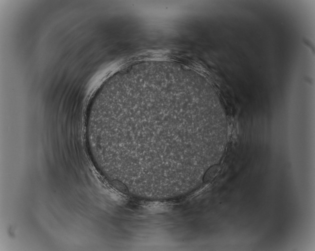 X0000100870293200807111324