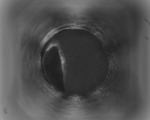 X0000100870295200807111324