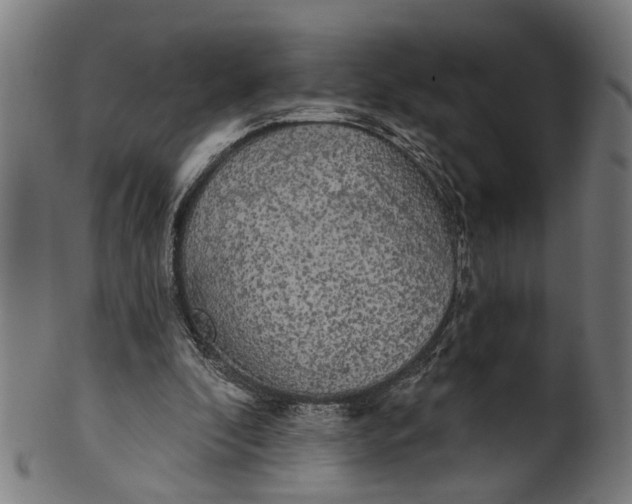 X0000100870296200807111324