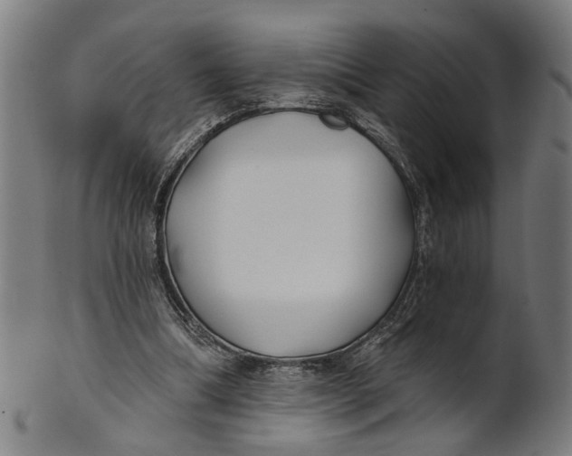 X0000100870298200807111324