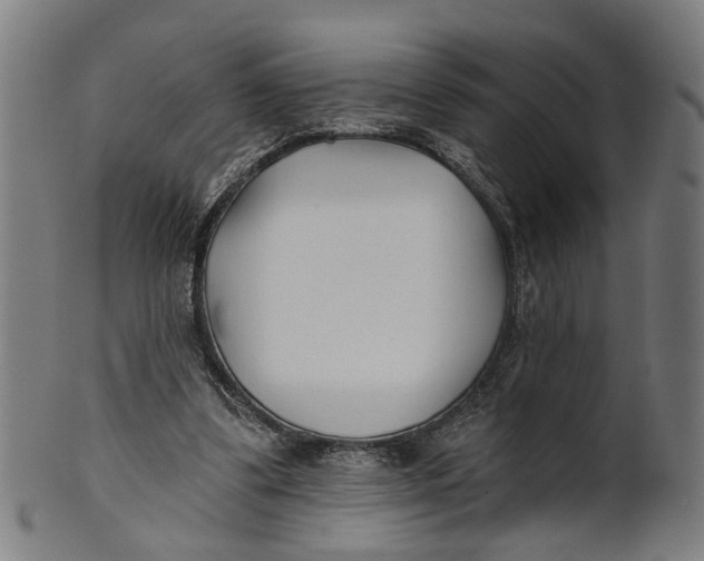 X0000100870299200807111324