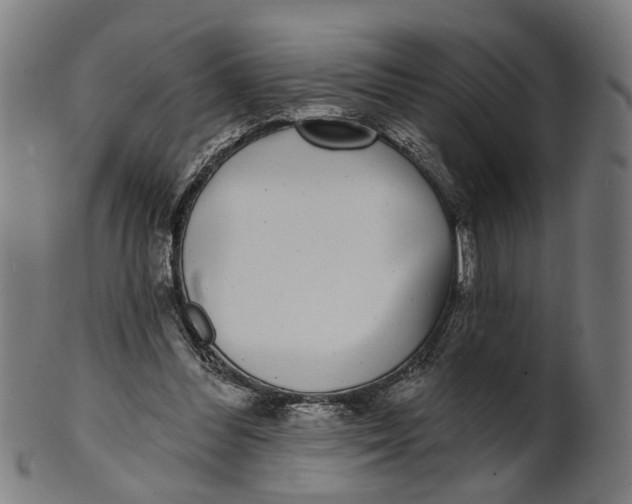 X0000100870300200807111324