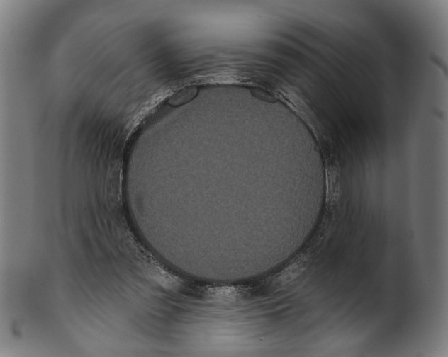 X0000100870301200807111324