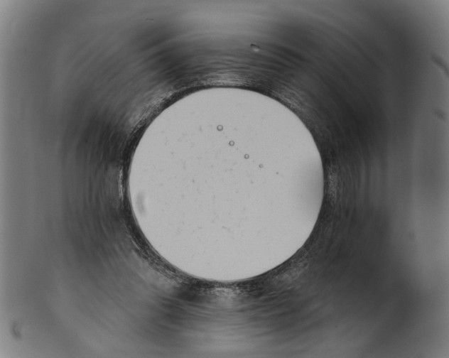 X0000100870302200807111324