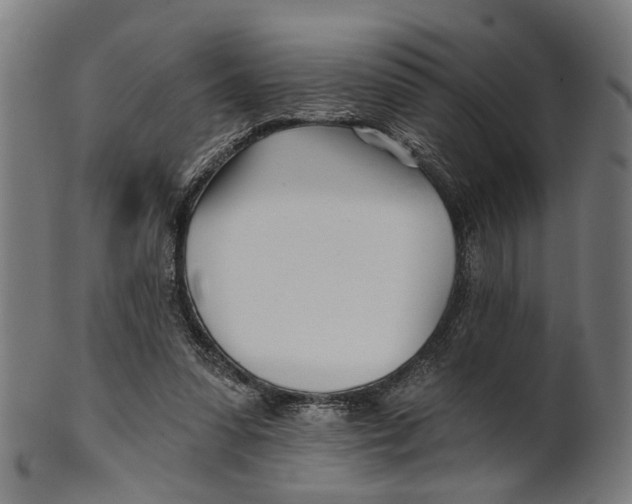 X0000100870303200807111324