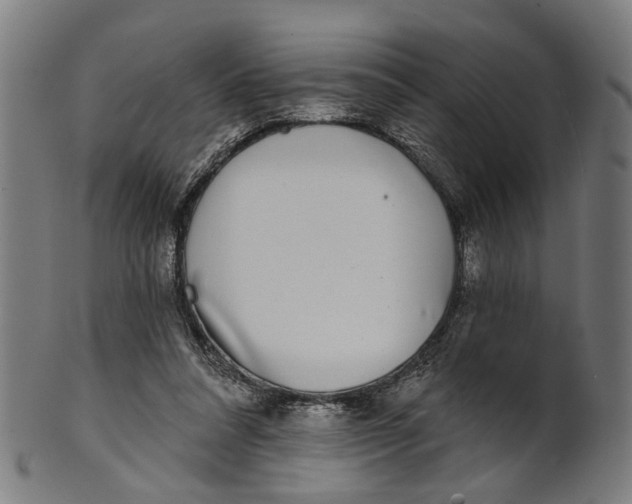 X0000100870304200807111324