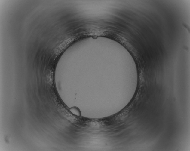 X0000100870305200807111324