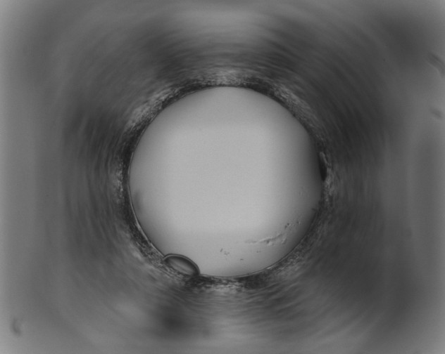 X0000100870306200807111324