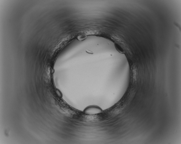 X0000100870308200807111324