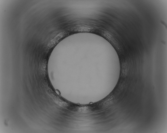 X0000100870309200807111324