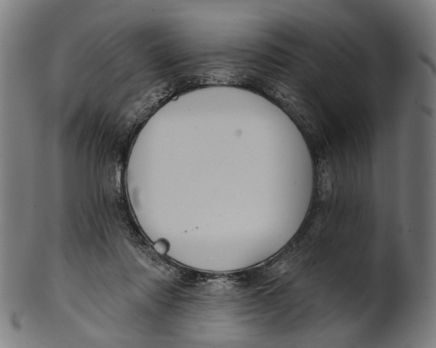 X0000100870310200807111324